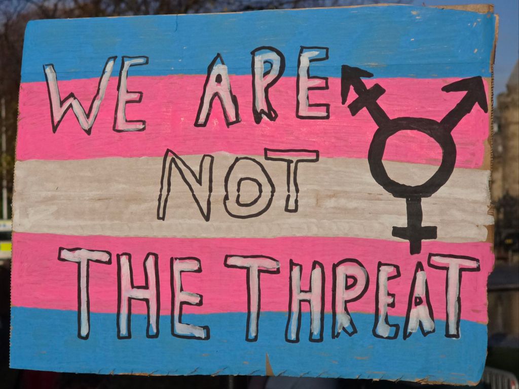 Image shows a placard in trans colours showing a trans symbol and the words "We are not the threat"